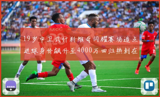 19岁中卫武什科维奇闪耀赛场造点进球身价飙升至4000万回归热刺在即